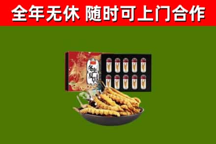 卫滨区烟酒回收冬虫夏草礼盒.jpg