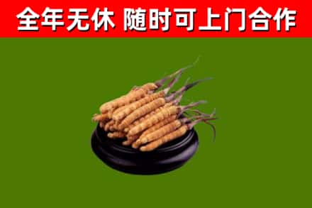 卫滨区烟酒回收冬虫夏草.jpg